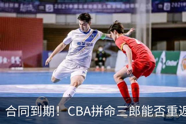 合同到期！CBA拼命三郎能否重返广东？期待辅佐徐杰、胡明轩